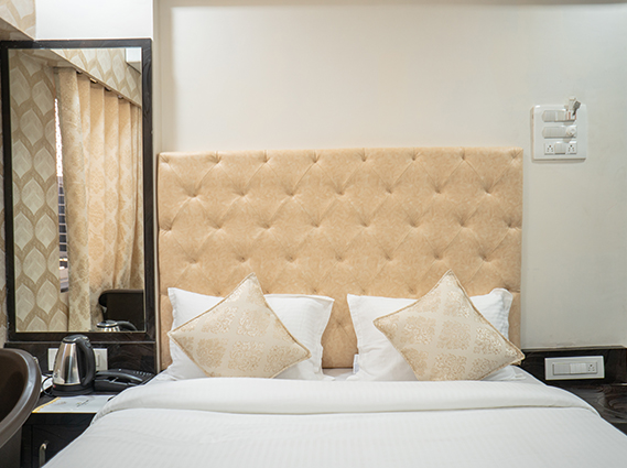 Hotel-Dhavalgiri-Deluxe-Double-Room